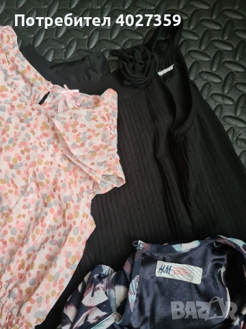 Прекрасни мацки