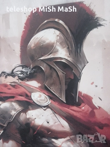 Нова картина с Римски войн, снимка 2 - Картини - 53202403