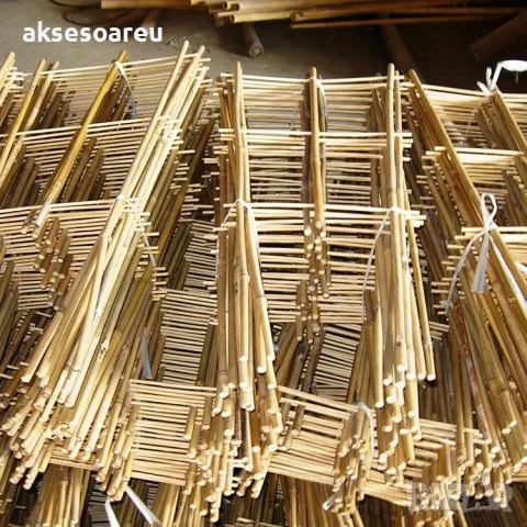 Качествени Семена от бамбук Bambusa arundinacea бързо растящи бамбукови растения за украса на дома, снимка 17 - Сортови семена и луковици - 50483666