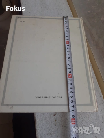 Тарас Бульба - руска книга роман Гогол, снимка 6 - Антикварни и старинни предмети - 53330154