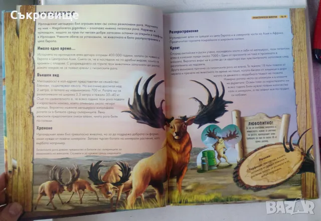 Енциклопедия Праисторически животни издателство Пан, снимка 5 - Енциклопедии, справочници - 47827781