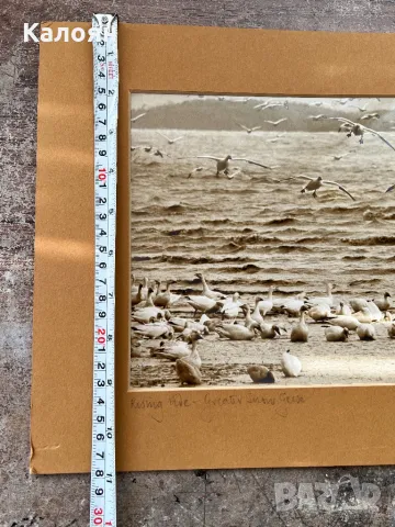 Фотография с паспарту на американския фотограф Артур Кендрик, снимка 7 - Антикварни и старинни предмети - 49977598