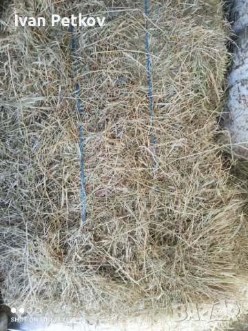 Бали меко сено, снимка 2 - За селскостопански - 53404407