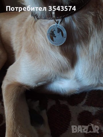 Лазерно рязане и гравиране на медальони за кучета от неръждаема стомана , снимка 2 - Други стоки за животни - 39241128