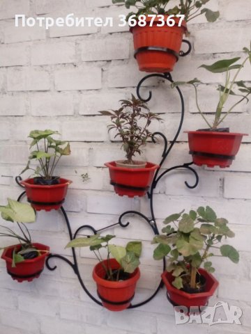 Цветарници и стойки за цветя и саксии от ковано желязо , снимка 8 - Стайни растения - 40218205