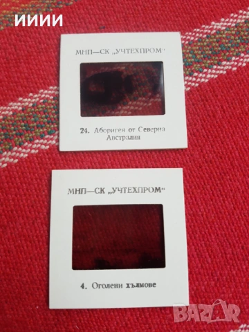 Диапозитиви География 4 комплекта, снимка 4 - Антикварни и старинни предмети - 53427608