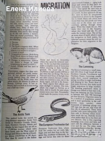 Учебник по английски STREAMLINE ENGLISH    Destinations, снимка 6 - Учебници, учебни тетрадки - 26767952