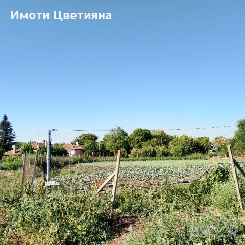 Просторен парцел в сърцето на с. Стоил Войвода, снимка 3 - Парцели - 51993882