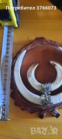 Трофейни глиги, снимка 3 - Други ценни предмети - 50465952