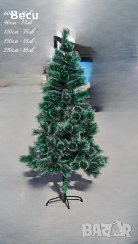 Елхи,зелени.бели,с шишарки