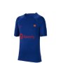 Детска тениска Nike FC Barcelona Strike DR5060-456, снимка 1 - Детски тениски и потници - 40494420