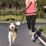 Джогинг колан за куче Колан за джокинг за куче с повод Комплект за бягане за куче Кучешки колан, снимка 6