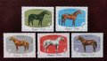 Унгария, 1985 г. - пълна серия чисти марки, коне, снимка 1 - Филателия - 38673770