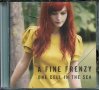 A fine frenzy-one cell in the sea