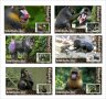 Чисти блокове Фауна Маймуни Мандрили 2020 от Тонго