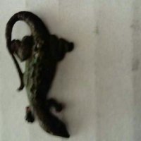 Стара брошка Саламандър , снимка 1 - Антикварни и старинни предмети - 28736936