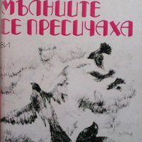 Когато мълниите се пресичаха Виктория Генова, снимка 1 - Българска литература - 32508798