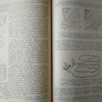 Анатомия сельскохозяйственных животных с основами гистологии и эмбриологии. 1962 г, снимка 3 - Специализирана литература - 32283902