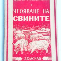 Угояване на свинете Н. Платиканов, снимка 2 - Специализирана литература - 38572627