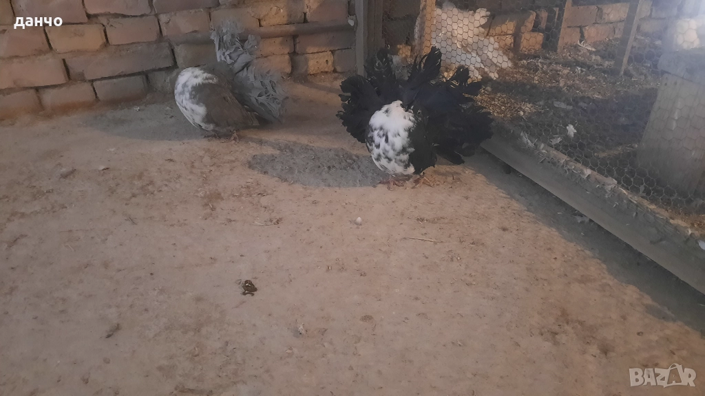 Продавам фенерлии , снимка 1