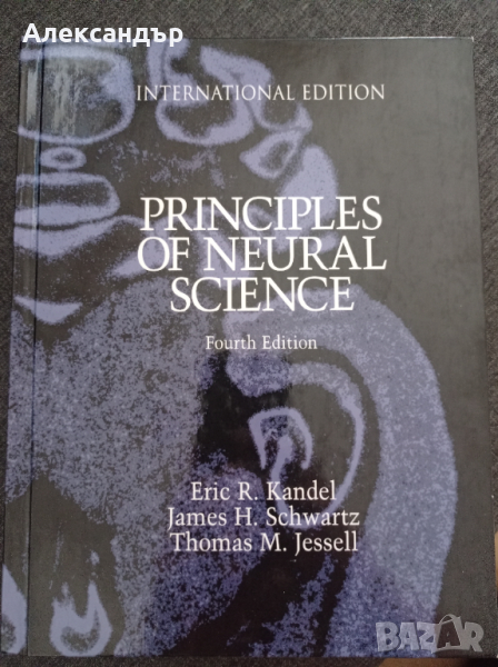 Принципи на невронните науки (на английски език), снимка 1