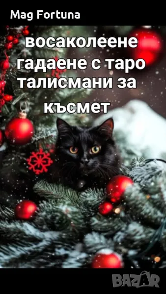 0877776204-точно ясновидство,премахване на проклятия и магии,талисман за късмет ., снимка 1