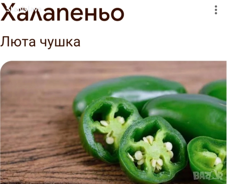Семе за люти чушки Халапеньо , снимка 1
