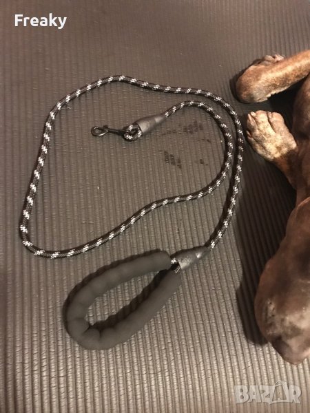 Повод / каишка за куче , снимка 1