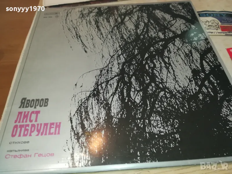 ЯВОРОВ-ЛИСТ ОТБРУЛЕН 2610241722, снимка 1
