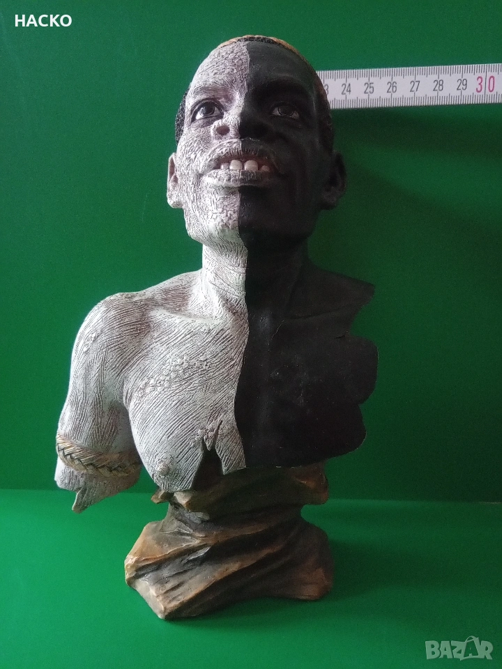 Бюст на Мъж Панга, снимка 1