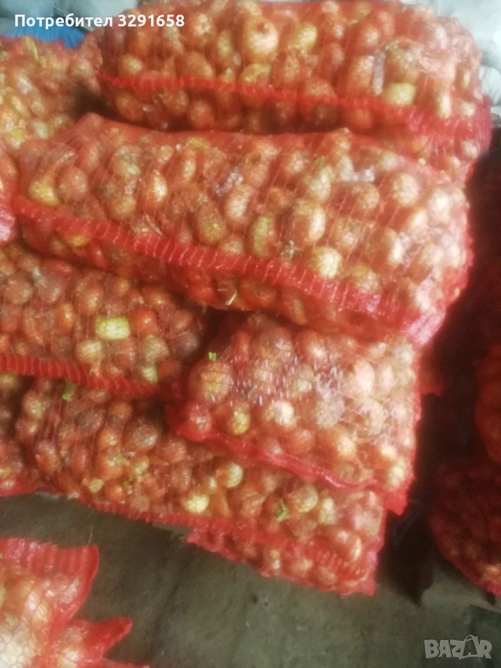 Продавам лук, снимка 1