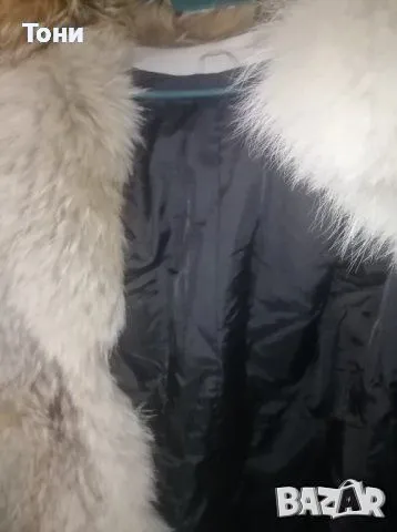 Естествен Косъм Прекрасно Дамско Ново Палто XL , снимка 8 - Палта, манта - 49064606