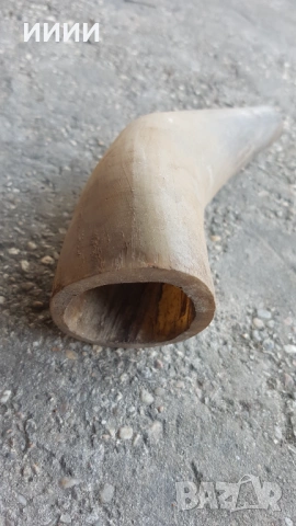 Биволски рог, снимка 2 - Антикварни и старинни предмети - 53448669