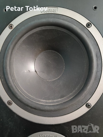 Подовостоящ високоговорител Magnat Vector 77 , снимка 6 - Тонколони - 52628228