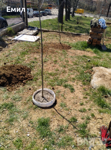 Копам дупки за огради и дръвчета , снимка 10 - Други ремонти - 27310270