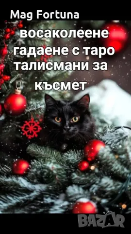 0877776204-точно ясновидство,премахване на проклятия и магии,талисман за късмет .