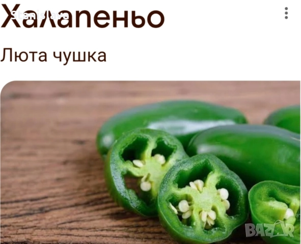 Семе за люти чушки Халапеньо 