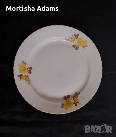 Плато, мрежеста "Изида"