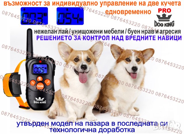 Електронен нашийник , снимка 11 - За кучета - 39944511