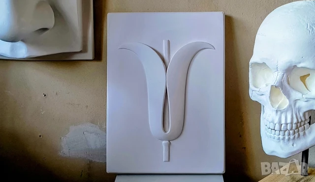 Геометрични Форми за Рисуване / Растителни / Анатомични Форми за Рисуване, снимка 5 - Картини - 50774674