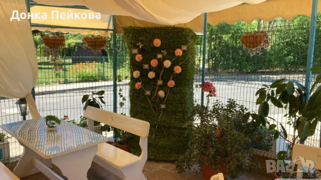 Директно от собственик!!!Продавам работещ бизнес - заведение в Несебър на 300 м от плажа Златна дюна, снимка 14 - Заведения - 48972858