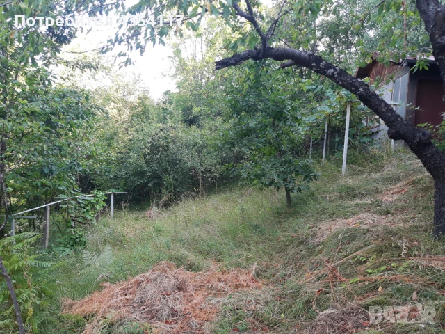 Продавам монолитно бунгало в село Богданчовци, област Габрово, снимка 2 - Вили - 50917695