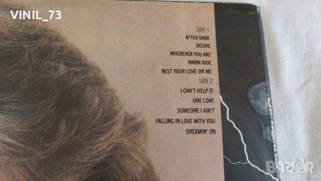 Andy Gibb – After Dark ВТА 11005, снимка 3 - Грамофонни плочи - 39514044