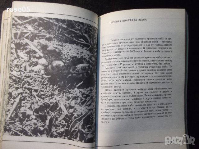 Книга "Не ги убивайте - Димо Божков" - 1 - 176 стр., снимка 5 - Специализирана литература - 35572142