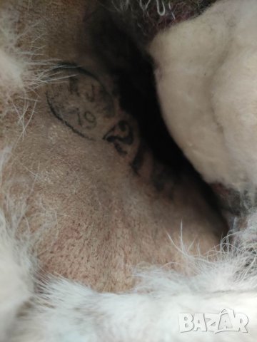 Продавам кожа от полярна 🦊, снимка 3 - Други ценни предмети - 32996137
