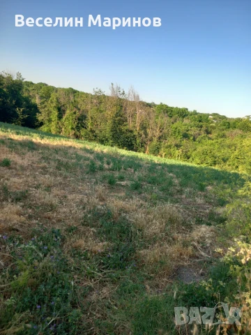 Продавам парцел в с.Кривня, общ. Провадия,  обл. Варна , снимка 3 - Парцели - 50700496