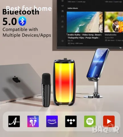 ALPOWL MAIKELU Професионално караоке, караоке 2 микрофона, снимка 6 - Караоке - 49118979