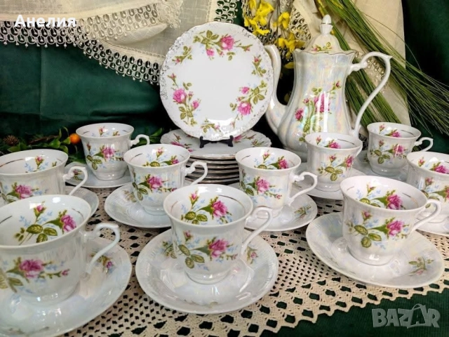 Рози от Полша Wawel Poland 