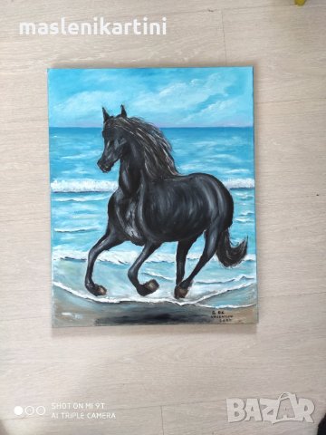 Маслена картина море и кон, снимка 4 - Картини - 28337138