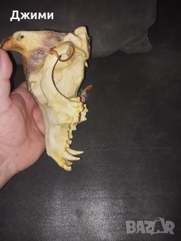 индианец и орел, снимка 6 - Антикварни и старинни предмети - 48258543